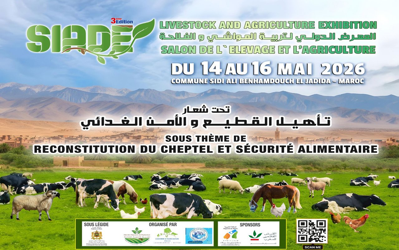 الجديدة على موعد مع حدث دولي كبير سيدي علي بن حمدوش تحتضن النسخة الثالثة من المعرض الدولي لتربية المواشي والفلاحة من 14 إلى 16 ماي 2026 تحت شعار: “تأهيل القطيع والأمن الغذائي”