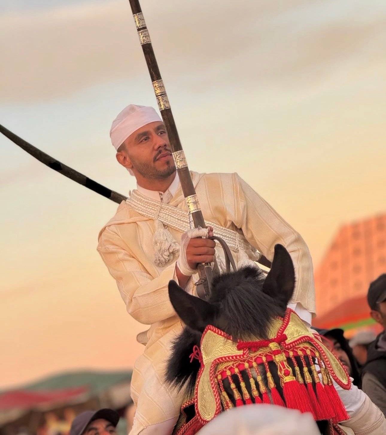 رضوان المجذوب.. شاب يجدد دماء “التبوريدة” بـ “سيدي بنور”